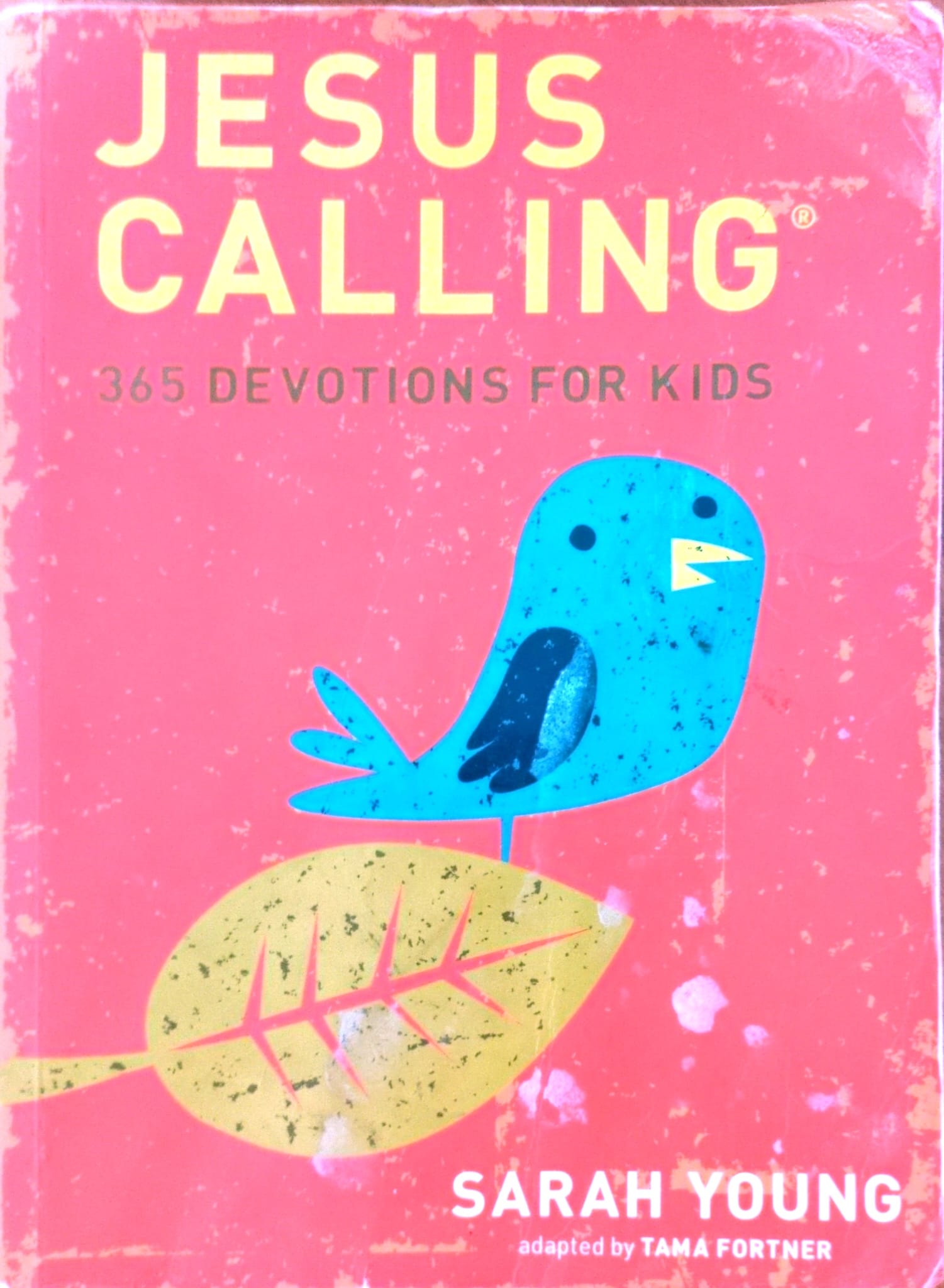 Jesus Calling 365 Devotions for Kids
