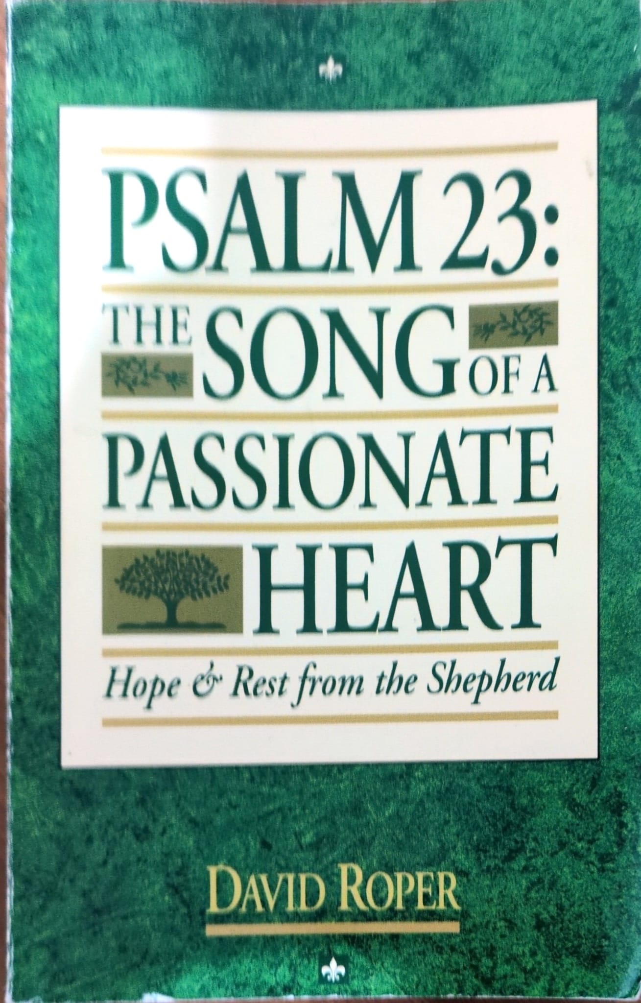 PSALM 23 THE SONG OF A PASSIONATE